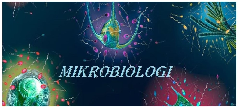 Mikrobiologi Dasar - 2TLM-112