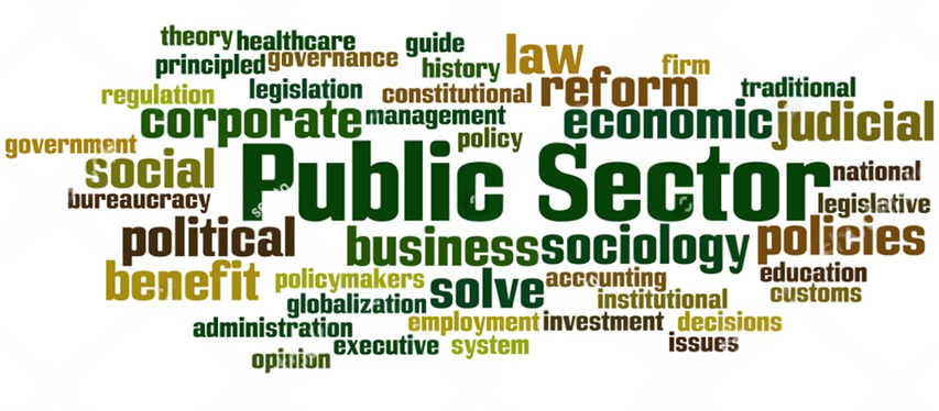 Manajemen Sektor Publik