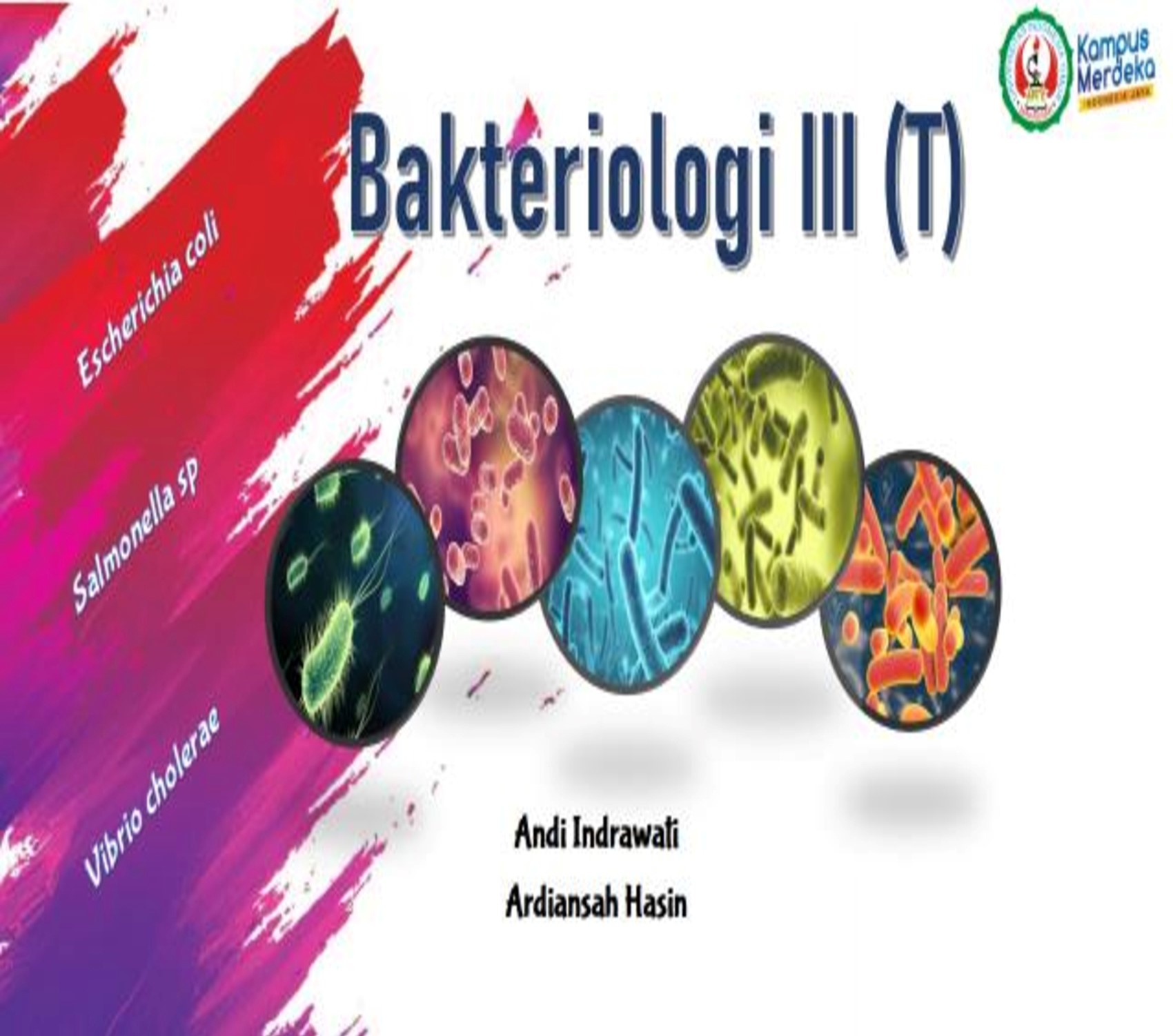 Bakteriologi III (T)